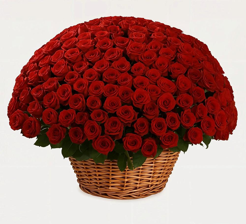 Премиум букет из: Розы в Солнечном Курской области