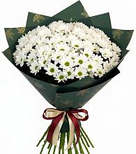 Букет цветов из:  Хризантемы в Солнечном Курской области