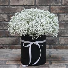 Цветочная композиция из Гипсофила в шляпной коробке в Солнечном Курской области