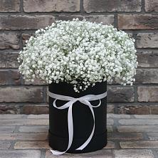 Цветочная композиция из Гипсофила в шляпной коробке в Солнечном Курской области
