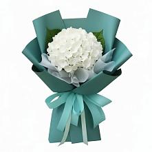 Букет цветов из:  Гортензия в Солнечном Курской области